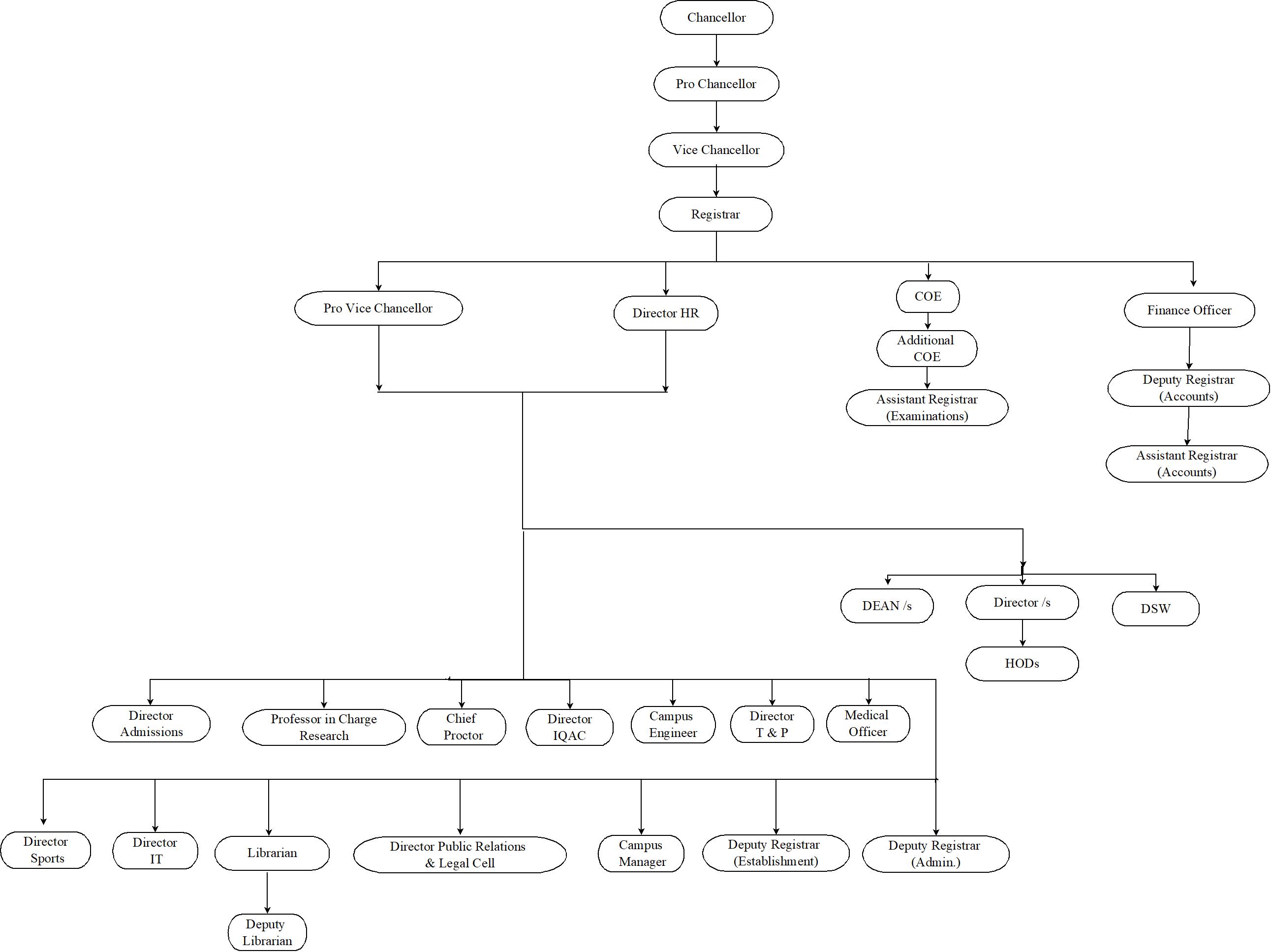 Organization Structure