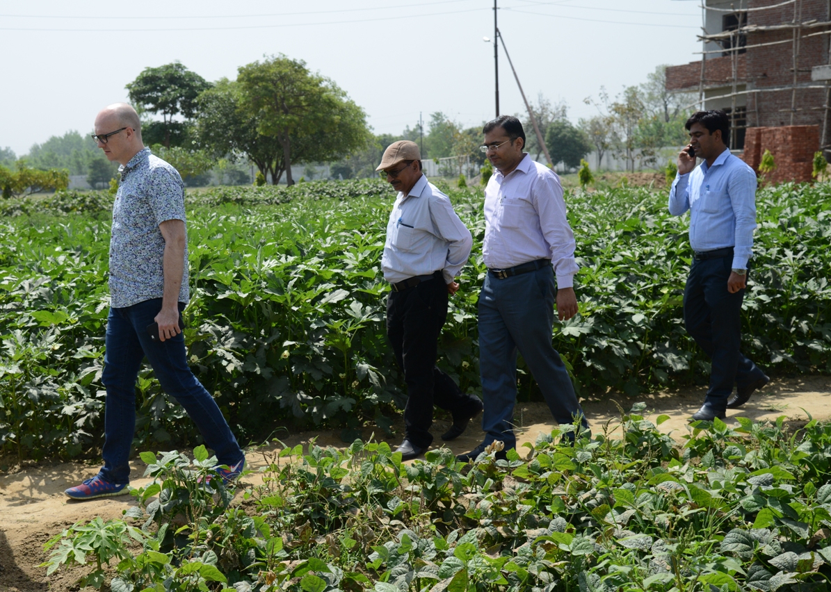 AGRICULTURE