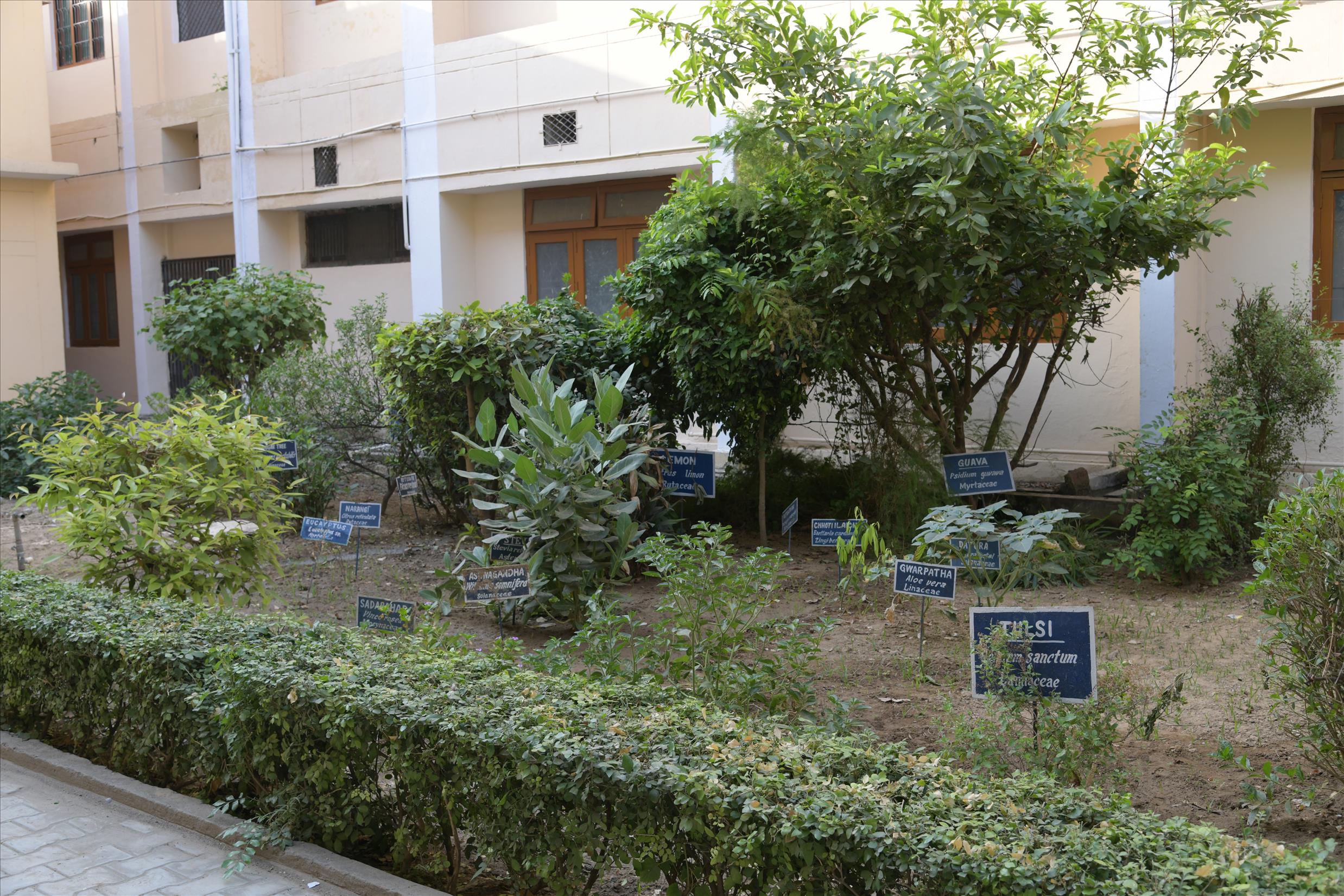 Image Gallery