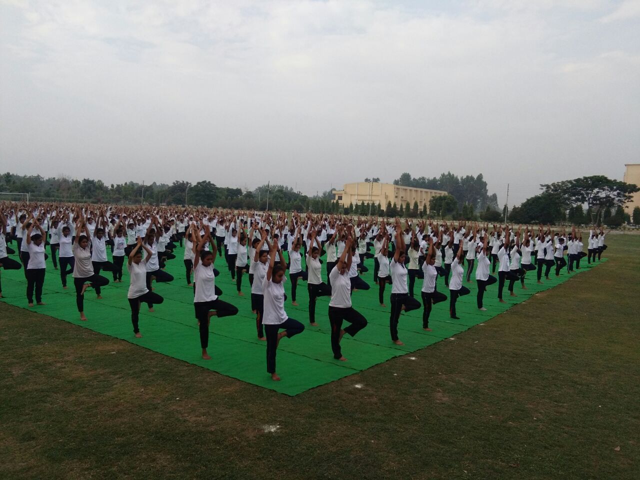 NCC