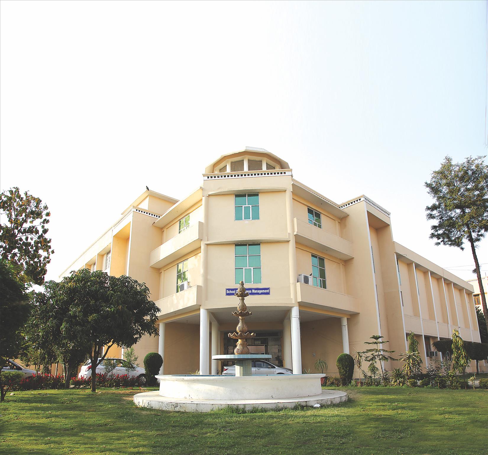 School of Business Management